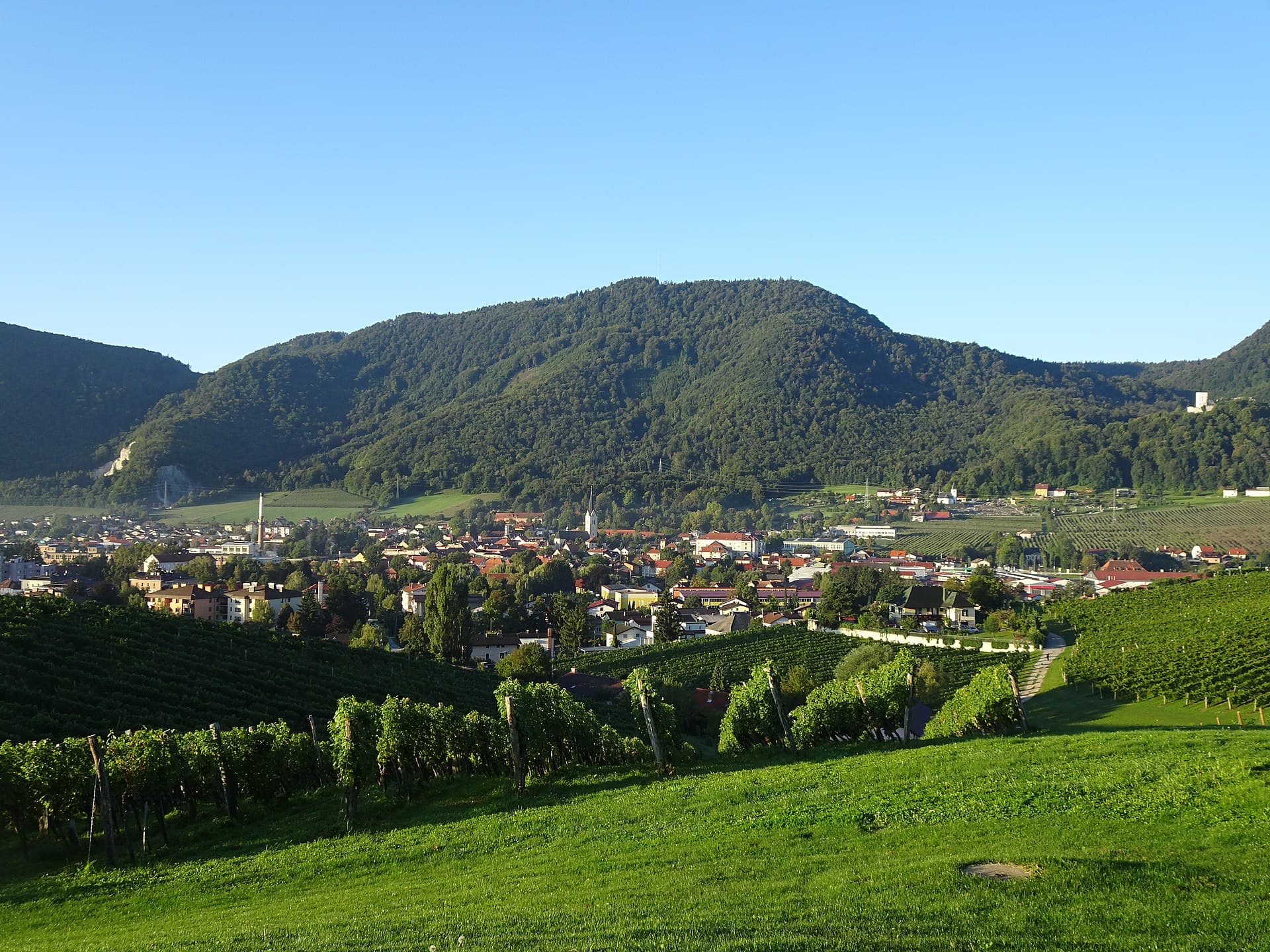 Slovenske Konjice z vinogradi, pod Konjiško goro